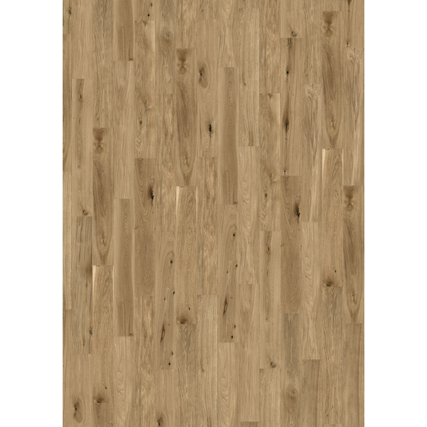 Korkboden Eiche Diamant XL Landhausdiele lackiert - Designatura