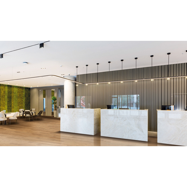 Wall Design Stripe Eiche hell furniert HM 611045 2670x572,5x19mm