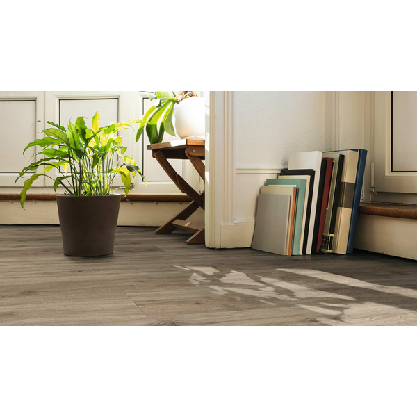 Disano Klick-Designboden Eiche Provence creme Landhausdiele - ClassicAqua