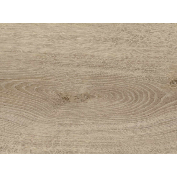 Disano Klick-Designboden Eiche Sheffield graubraun Landhausdiele - ClassicAqua