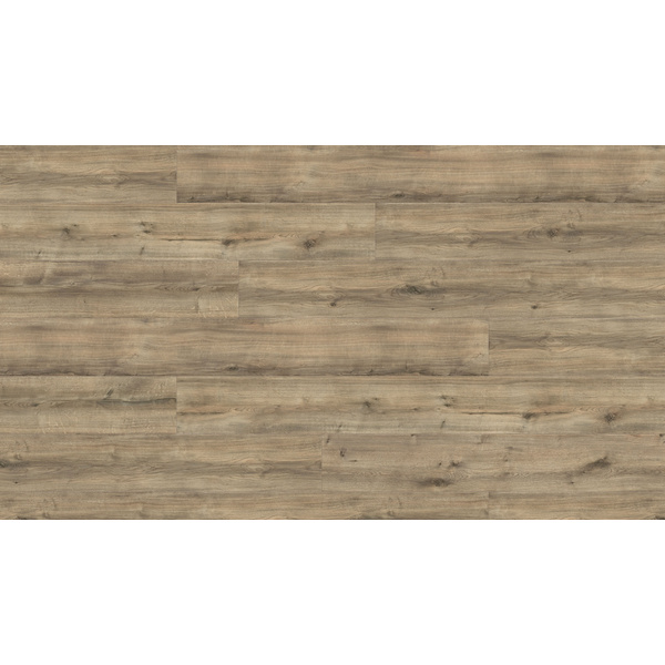 Disano Klick-Designboden Gebirgseiche greige Landhausdiele - ClassicAqua