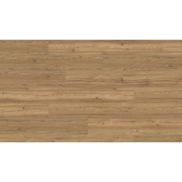 Disano Klick-Designboden Berglärche cognacbraun Landhausdiele - ClassicAqua