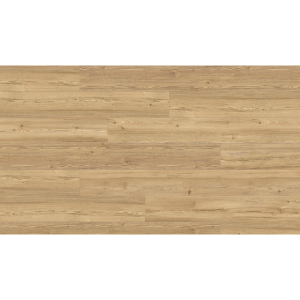 Disano Klick-Designboden Berglärche puro Landhausdiele - ClassicAqua