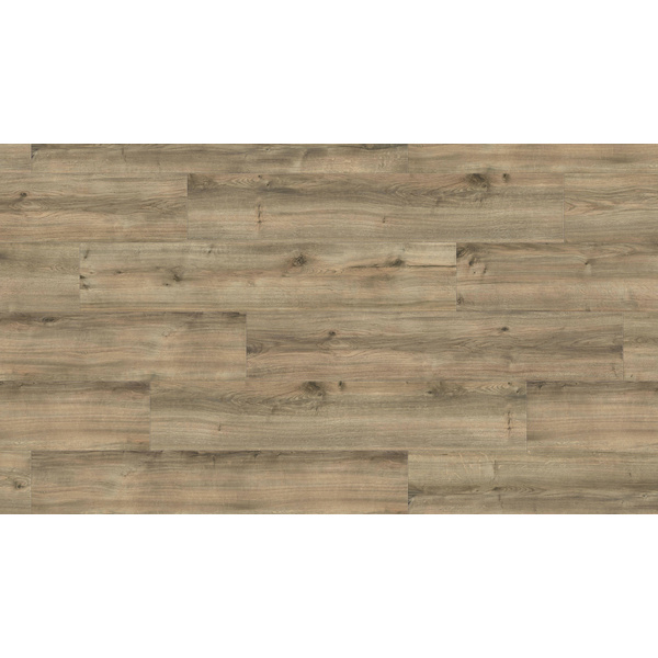 Disano Klick-Designboden Gebirgseiche greige Landhausdiele - LifeAqua