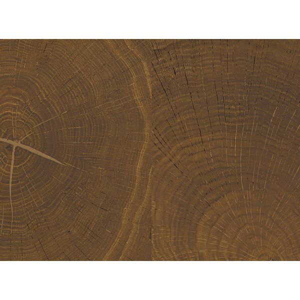 Parkett Raucheiche Hirnholz natur-geölt Selectiv oleovera - Serie 4000