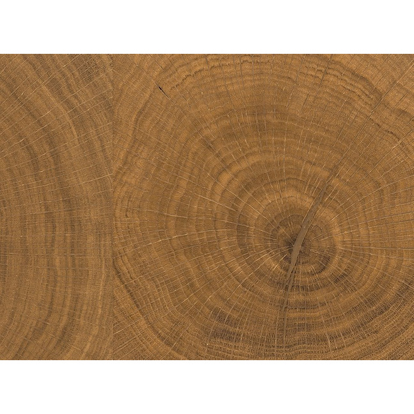 Parkett Eiche Hirnholz lackiert Selectiv naturaDur - Serie 4000