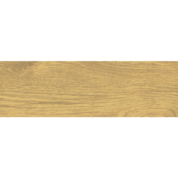 Objekt-Öl evolution eiche-olive 2,5l