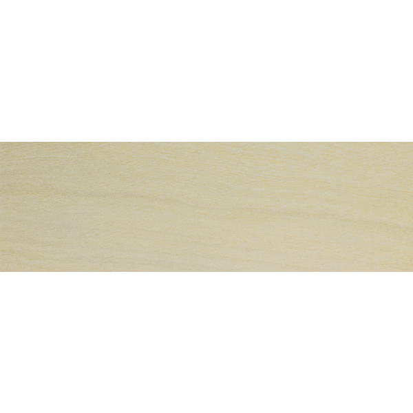 Objekt-Öl evolution treibholz 30l