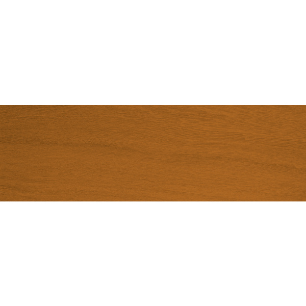 Objekt-Öl evolution zeder 10l