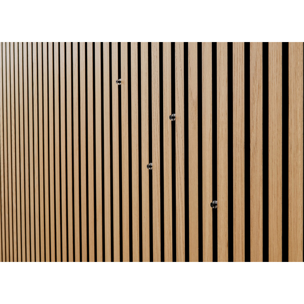 SilentDesign LivingWall Function Fixierpunkt/Schraube Hendrik