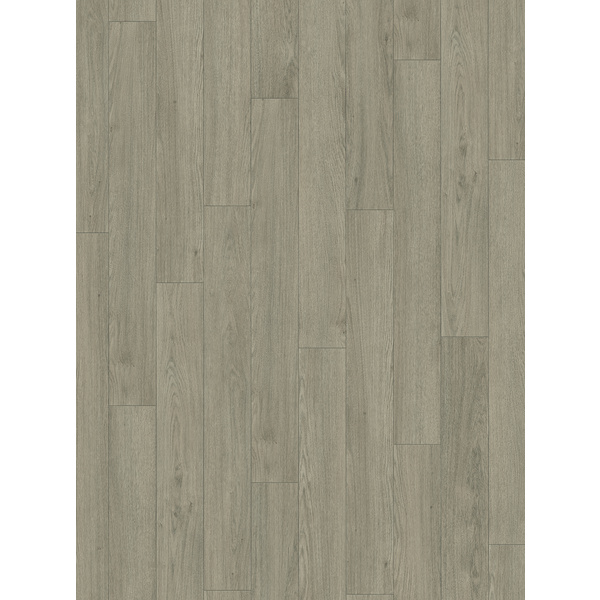 Laminatboden Eiche Mont Blanc grau Landhausdiele - Trendtime 1