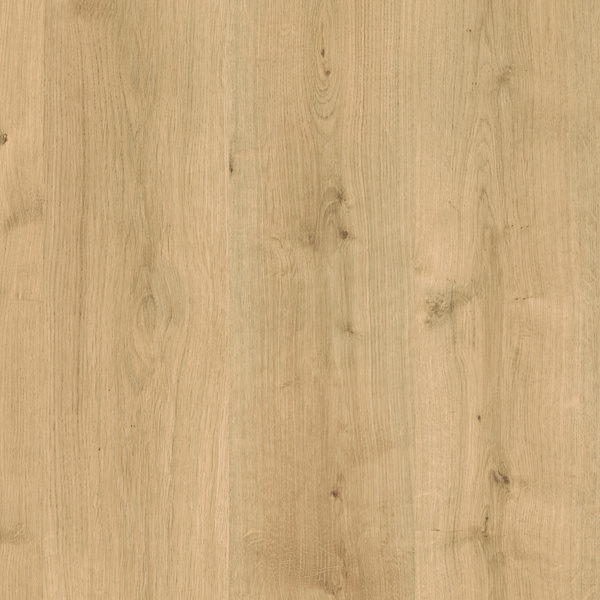 Treppenstufen PPD087 1150x670x60 mm