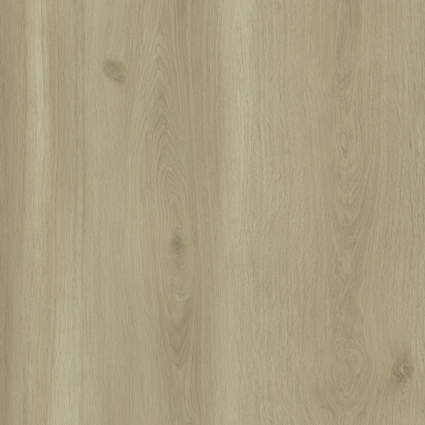 Treppenstufen PPD154 1150x670x60 mm