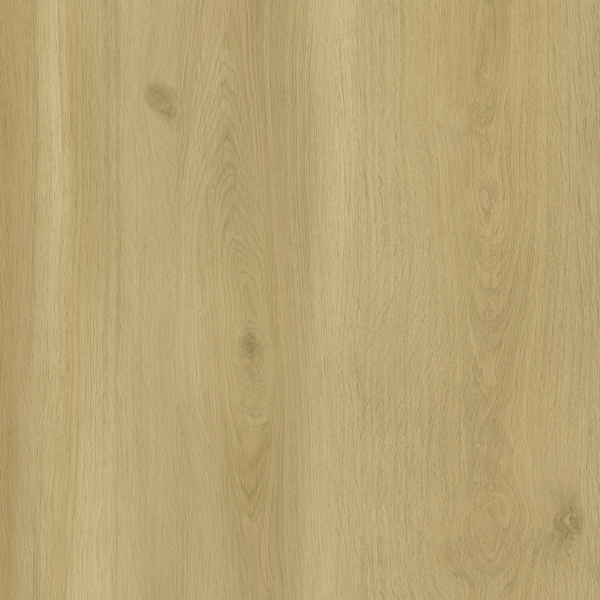 Treppenstufen PPD097 1150x670x60 mm