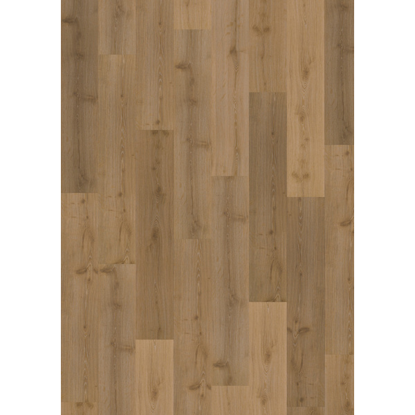 Klebe-Vinylboden massiv Akkelies DBW 229-055 Landhausdiele - Dry Back 0,55