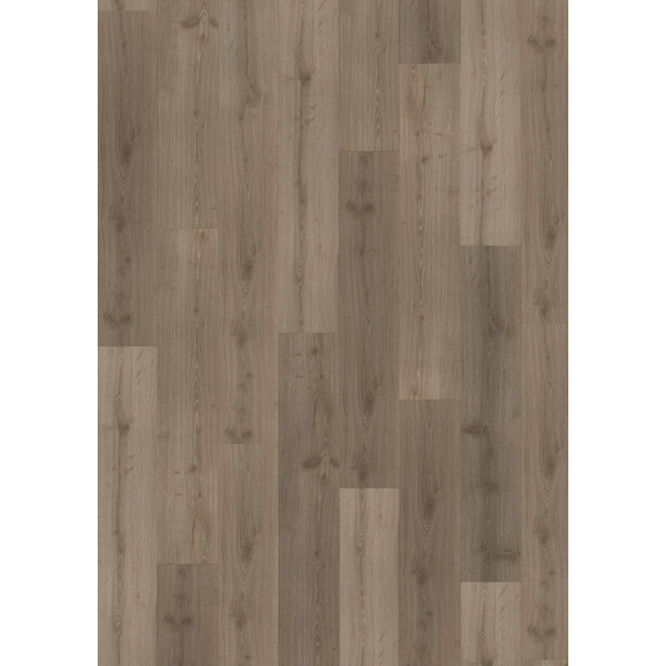 Klebe-Vinylboden massiv Blaiken DBW 229-055 Landhausdiele - Dry Back 0,55