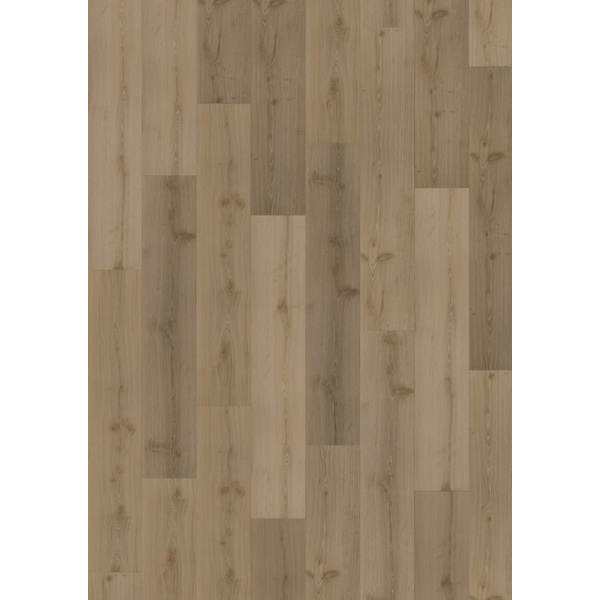 Klebe-Vinylboden massiv Foloi DBW 229-055 Landhausdiele - Dry Back 0,55