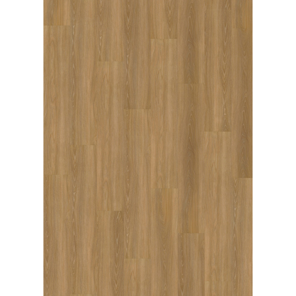 Klebe-Vinylboden massiv Fontin DBW 229-055 Landhausdiele - Dry Back 0,55