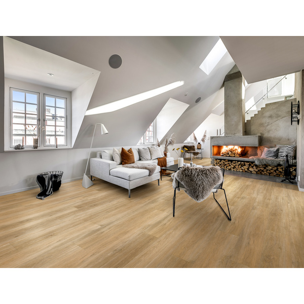 Klebe-Vinylboden massiv Sapo DBW 229-055 Landhausdiele - Dry Back 0,55