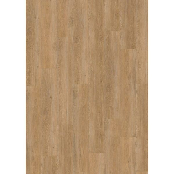 Klebe-Vinylboden massiv Sapo DBW 229-055 Landhausdiele - Dry Back 0,55