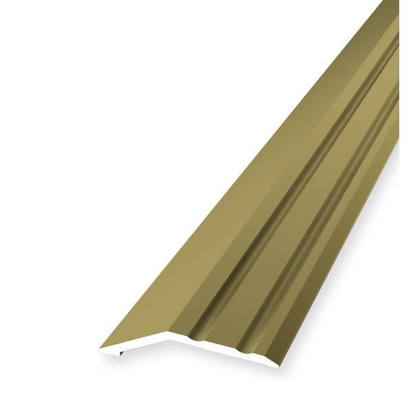 Anpassungsprofil PF 244 SK selbstklebend 39x10x2mm 8mm 0,9m Alu eloxiert gold