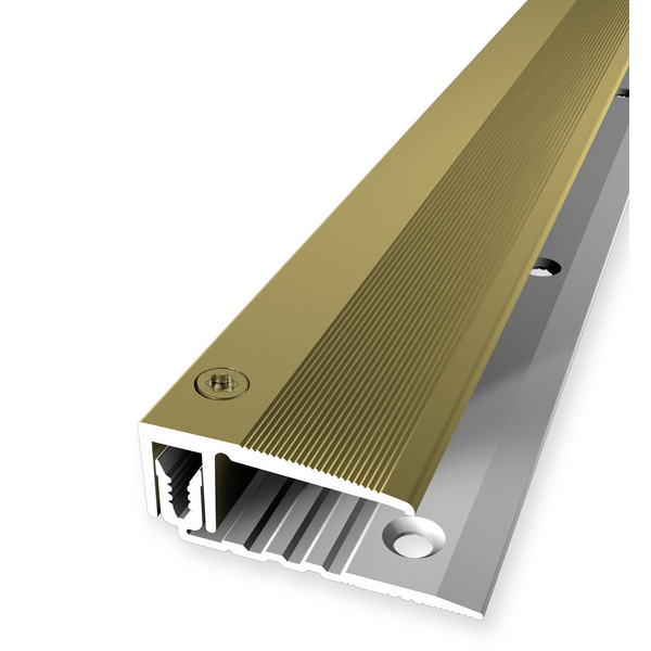 Combi End-Profil PF 387 Maxx Alu gold eloxiert