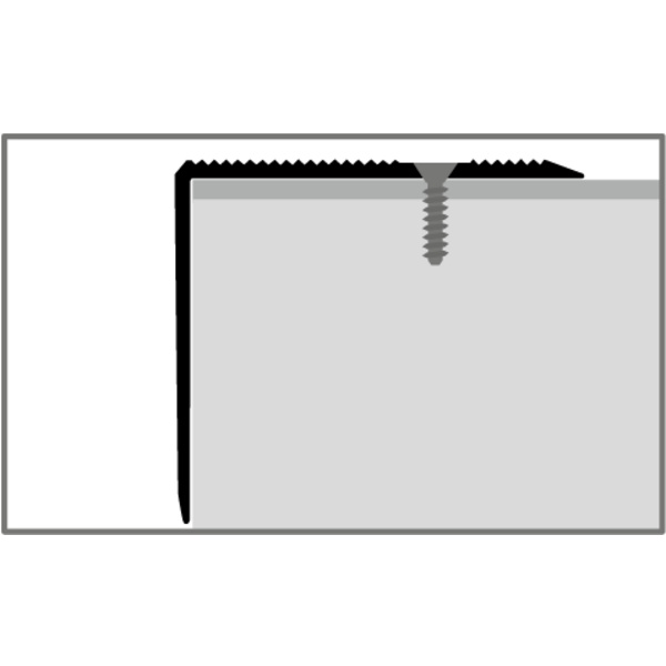 Winkelprofil PF 229 45x40x2mm Alu silber eloxiert