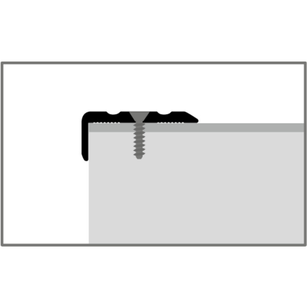 Winkelprofil PF 236 24,5x10x2mm Alu edelstahl eloxiert