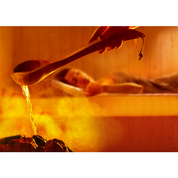 Elementsauna VARBERG 3 GT