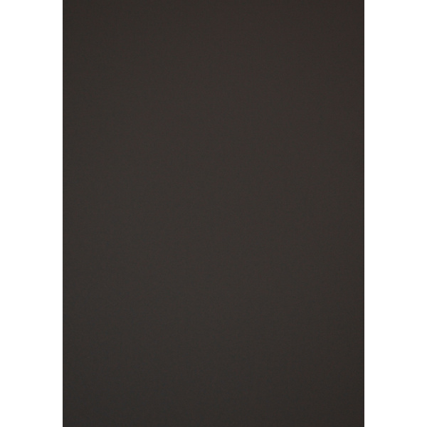 Verbundplatte A/A Fenix 3050x1300mm Typ Span P2 FX0793 NTM grigio aragona 14,4mm stark