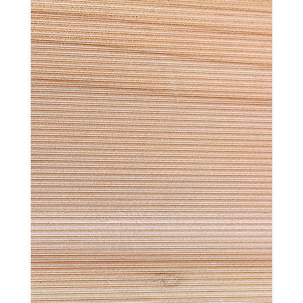 Fassaden-Keil-Profil Douglasie