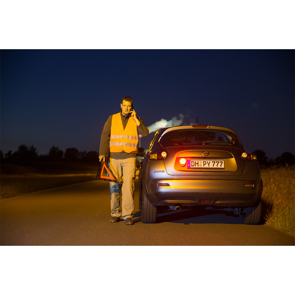 LED Arbeits- und Sicherheitsleuchte (948461)