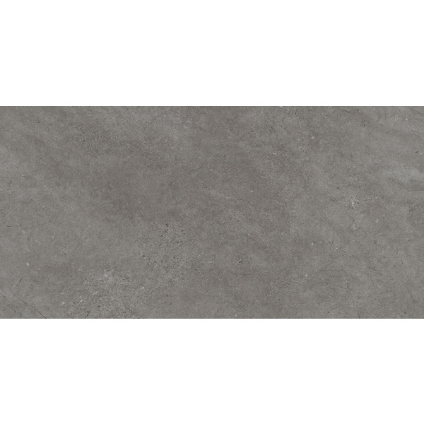 Klick-Vinylboden SPC Stein Graphit Landhausdiele - ELEGANTO SPA