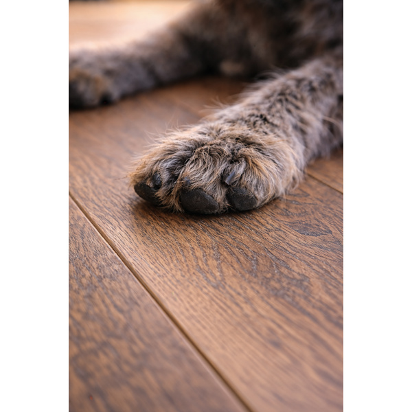 Klick-Designboden MDF Opal Oak Coffee Landhausdiele