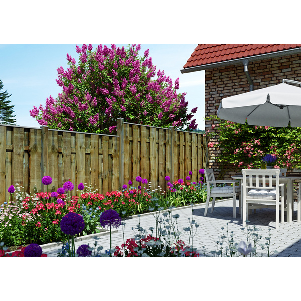 Sichtschutzzaun Kiefer KDI kd-braun "SEELAND"