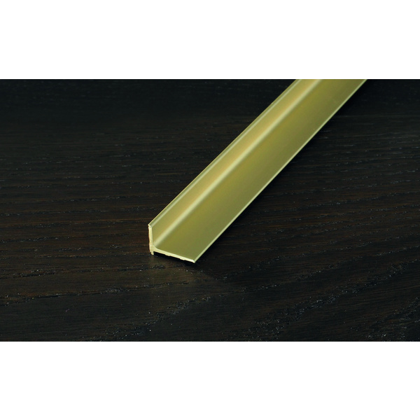 PROFACE Abschluss 22x15mm selbstklebend Aluminium eloxiert