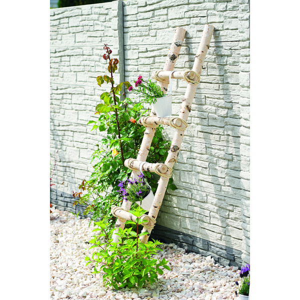 Visby Deko-Leiter, Birke naturbelassen 40x180cm VE=040