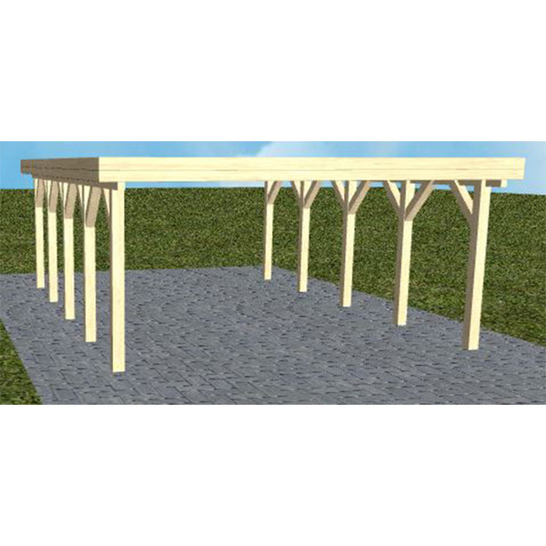 Carport Burg MO Master Holzblende, Flachdach ohne Bedachung