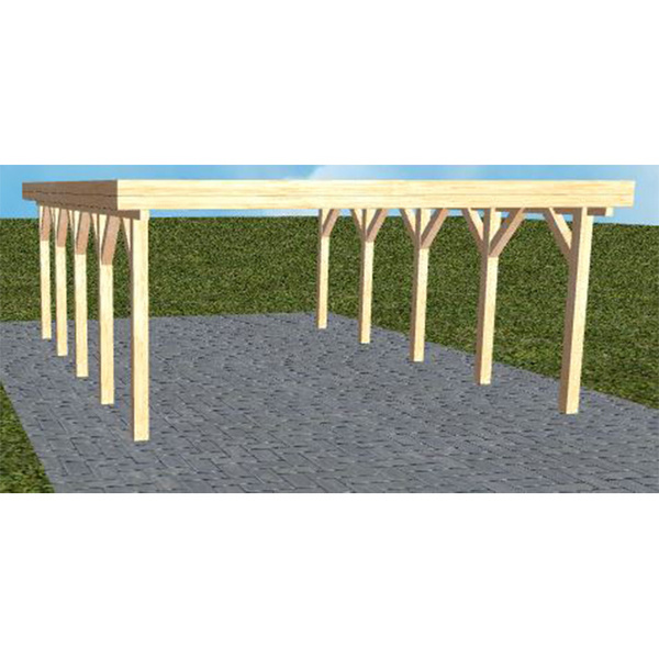 Carport Burg MO Perfect Holzblende, Flachdach ohne Bedachung