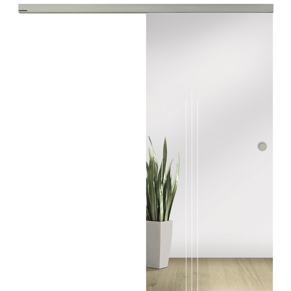 Glasschiebetür Dante - Motiv matt