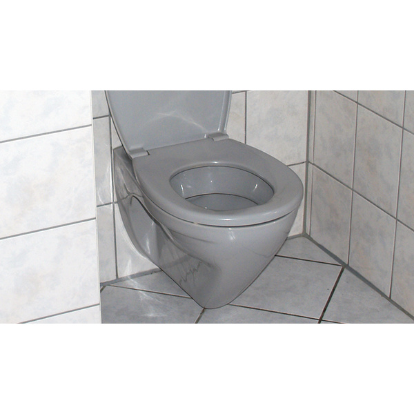 TecLine Abflusstornado®, gebrauchsfertiges Konzentrat 1l Flasche DE/IT/FR