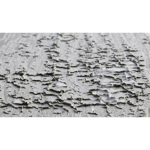 SPEED-EX Der Abbeizer 750 ml