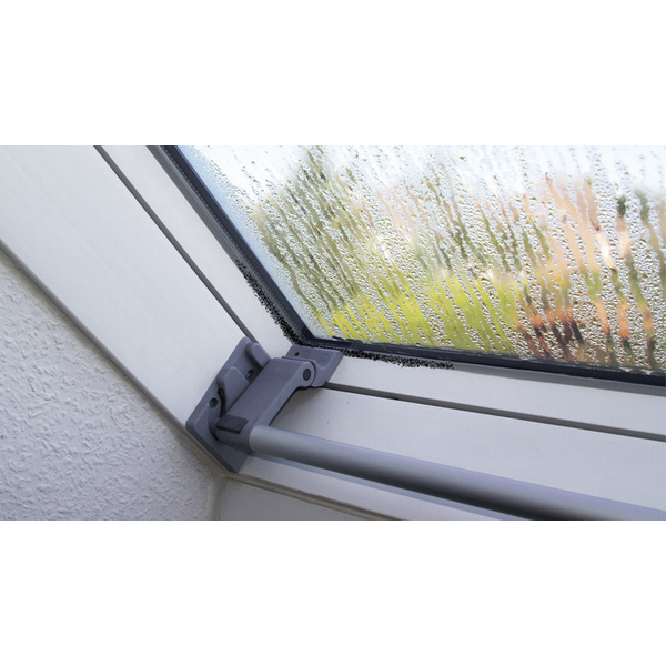 TecLine Schimmelentferner