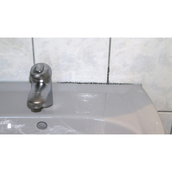 TecLine Schimmelentferner