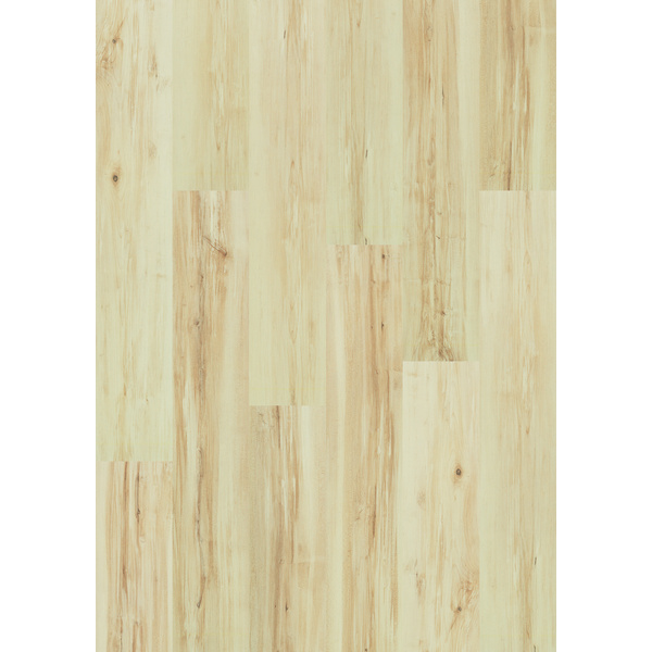 Korkboden Ahorn HotCoating-Lack Landhausdiele - Cortica