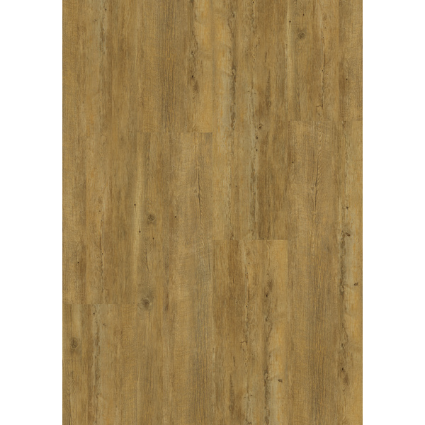 Korkboden Kaukasus Fichte 8,5mm HotCoating light Landhausdiele - Cortica