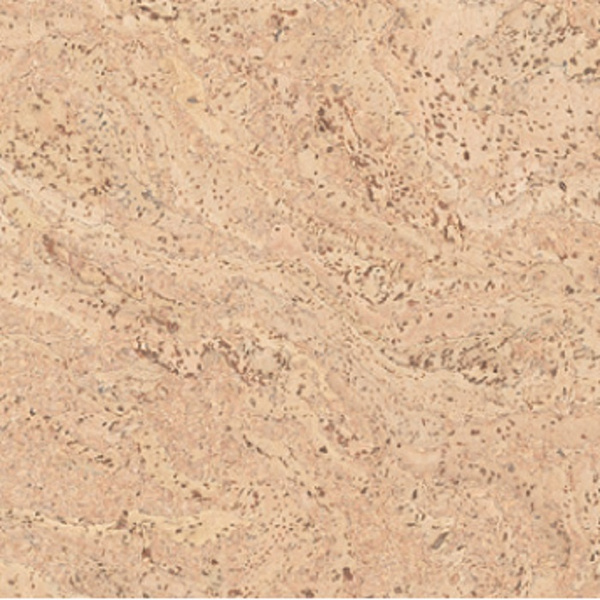 Korkboden Salsa creme Hartwachs-Öl Landhausdiele geölt - Korkplus