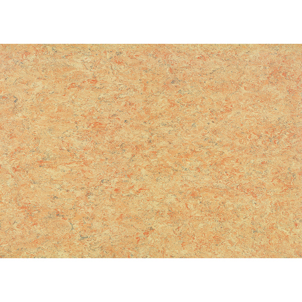 Linoleumboden Crema Kurzdiele - Lino-klick