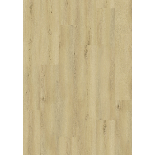 Klick-Designboden HDF Oak Darwin HotCoating-Lack Landhausdiele