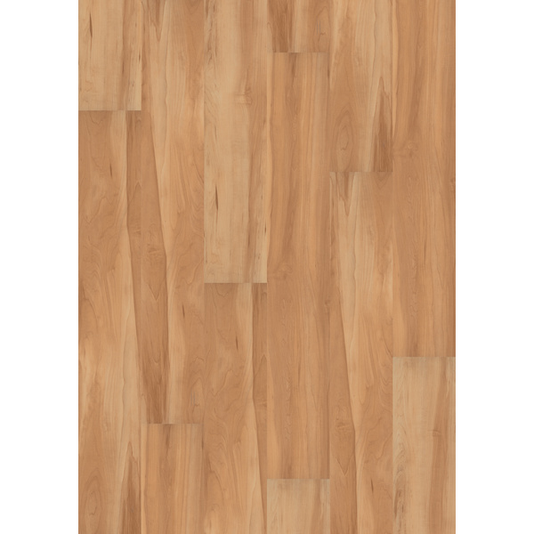 Klick-Vinylboden SPC Apfelbaum Meißen Landhausdiele - Vinyl Living Rigid